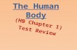 The Human Body (HB Chapter 1) Test Review. Directs the cell’s activities and holds information that controls a cell’s function. nucleus.