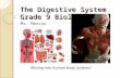 The Digestive System Grade 9 Biology Ms. Marcos Moving into human body systems!