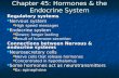 Chapter 45: Hormones & the Endocrine System Regulatory systems Nervous system Nervous system High speed messages High speed messages Endocrine system Endocrine.
