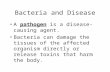 Bacteria and Disease A pathogen is a disease-causing agent. Bacteria can damage the tissues of the affected organism directly or release toxins that harm.