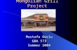 Mongolian Grill Project Mustafa Guclu GBA 573 Summer 2004.