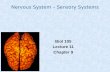 Nervous System – Sensory Systems Biol 105 Lecture 11 Chapter 9.