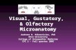Visual, Gustatory, & Olfactory Microanatomy Audrone R. Biknevicius, PhD Ohio University College of Osteopathic Medicine CPC 2 – Fall quarter 2005.