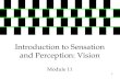 11 Introduction to Sensation and Perception: Vision Module 11.
