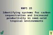 RNPS 25 Identifying systems for carbon sequestration and increased productivity in semi-arid tropical environments.