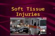 1 Soft Tissue Injuries. 2 Skin Functions Protection –Barrier to keep out microorganisms, debris and chemicals. –Tissues & organs are protected from environment.