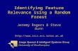Http:// Identifying Feature Relevance Using a Random Forest Jeremy Rogers & Steve Gunn.