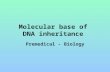 Molecular base of DNA inheritance Premedical - Biology.