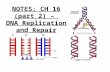 NOTES: CH 16 (part 2) – DNA Replication and Repair.