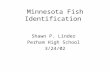 Minnesota Fish Identification Shawn P. Linder Perham High School 3/24/02.