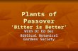 Plants of Passover ‘Bitter is Better’ With Dr Ed Bez Biblical Botanical Gardens Society.