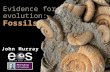 Evidence for evolution: Fossils John Murray. Evidence for evolution: Fossils As told by a series of & papers.