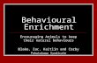 Behavioural Enrichment Encouraging Animals to keep their natural behaviours Blake, Zac, Kaitlin and Corby Pohutukawa Syndicate.