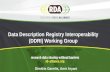 1 Data Description Registry Interoperability (DDRI) Working Group Dimitris Gavrilis, Amir Aryani.