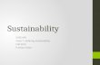 Sustainability EVSS 695 Class 7: Defining Sustainability Fall 2012 P. Brian Fisher.