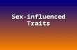 Sex-influenced Traits. Previously, we learned about sex-linked traits, controlled by sex-chromosomes. (x-linked) We will now discuss sex-influenced traits,