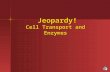 Jeopardy! Cell Transport and Enzymes Jeopardy! Cell Transport and Enzymes.