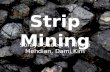 Strip Mining Soraya Sadeghi, Nicole Mehdian, Dami Kim.
