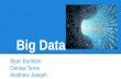 Big Data Bijan Barikbin Denisa Teme Matthew Joseph.