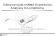 Arthur Edwards Broad Summer Research Program in Genomics Cancer Program 08/06/07 Genome-wide miRNA Expression Analysis in Lymphoma miRNAs Lymphoma.