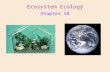 Chapter 54 Ecosystem Ecology. From a small “closed system” to the biosphere Ecosystem – all the organisms living in a community, plus all the abiotic.