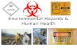 Environmental Hazards & Human Health. Environmental Hazards Complex interactions – Biosphere, atmosphere, hydrosphere, lithosphere Industrialized Societies.