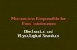 Mechanisms Responsible for Food Intolerances Biochemical and Physiological Reactions.