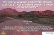 THE WEST MUSGRAVE: A POTENTIAL WORLD-CLASS NI-CU-PGE SULPHIDE AND IRON OXIDE CU-AU PROVINCE? I.M. Groves for D.I Groves, I.M. Groves, S. Gardoll, W. Maier.