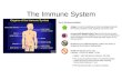 The Immune System. The Nature of Disease Infectious Diseases: Diseases, such as colds, that are caused by pathogens that have invaded the body. Pathogens.