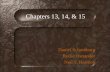 Chapters 13, 14, & 15 Daniel Schomburg Rollie Ostrander Neil S. Harmon.