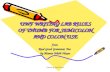 Created by April Turner UWF WRITING LAB RULES OF THUMB FOR SEMICOLON AND COLON USE from Real Good Grammar, Too by Mamie Webb Hixon.