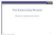 EDU2EXP Exercise & Performance 1 The Exercising Muscle Structure, function and control.