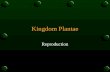 Kingdom Plantae Reproduction. General Characteristics o Eukaryotic o Multicellular o Autotrophic.
