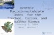 Benthic Macroinvertebrate Index for the Truckee, Carson, and Walker Rivers Erik W. Leppo January 5, 2009 Reno, Nevada.