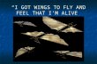 “I GOT WINGS TO FLY AND FEEL THAT I’M ALIVE”. AIRCRAFT- THE FLYING MACHINE AN EPILOUGE OF TIME.