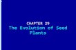 Chapter 29: The Evolution of Seed Plants CHAPTER 29 The Evolution of Seed Plants.