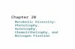 Chapter 20 Metabolic Diversity: Phototrophy, Autotrophy, Chemolithotrophy, and Nitrogen Fixation.