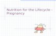 Nutrition for the Lifecycle - Pregnancy Objectives Describe the importance of adequate dietary intake prior to pregnancy. Describe the importance of.