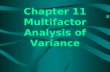 Chapter 11 Multifactor Analysis of Variance.