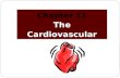 Chapter 11 The Cardiovascular System. The Cardiovascular System  Closed system of the heart and blood vessels  Heart pumps blood  Blood vessels allow.