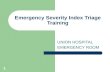 1 Emergency Severity Index Triage Training UNION HOSPITAL EMERGENCY ROOM.