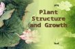 Plant Structure and Growth. ObjectivesObjectives 9.1.2 – Outline three differences between the struc- tures of dicotyledonous and monocotyle- donous plants.