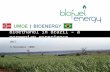 Bioethanol in Brazil – a norwegian experience BNCC 4 November 2008.