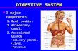 DIGESTIVE SYSTEM 3 major components: 3 major components: 1.Oral cavity. 2.Alimentary canal. 3.Associated Glands: Salivary glands.Salivary glands. Liver.Liver.