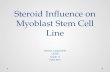 Steroid Influence on Myoblast Stem Cell Line Nathan Lampenfeld CCHS Grade 11 PJAS 2015.