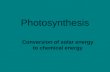 Photosynthesis Conversion of solar energy to chemical energy.