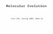 1 Molecular Evolution Stat 246, Spring 2002, Week 6a.