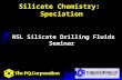 Silicate Chemistry: Speciation NSL Silicate Drilling Fluids Seminar.
