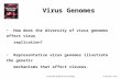 © Elsevier, 2011.Principles of Molecular Virology Virus Genomes How does the diversity of virus genomes affect virus replication? Representative virus.