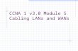 CCNA 1 v3.0 Module 5 Cabling LANs and WANs. Purpose of This PowerPoint This PowerPoint primarily consists of the Target Indicators (TIs) of this module.
